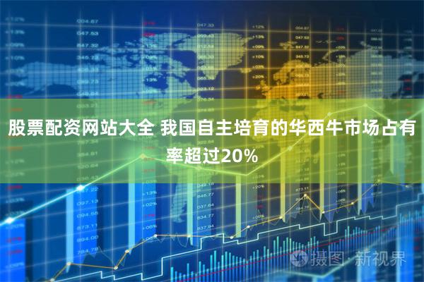 股票配资网站大全 我国自主培育的华西牛市场占有率超过20%