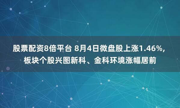 股票配资8倍平台 8月4日微盘股上涨1.46%, 板块个股兴图新科、金科环境涨幅居前